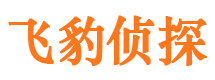 安远市侦探调查公司